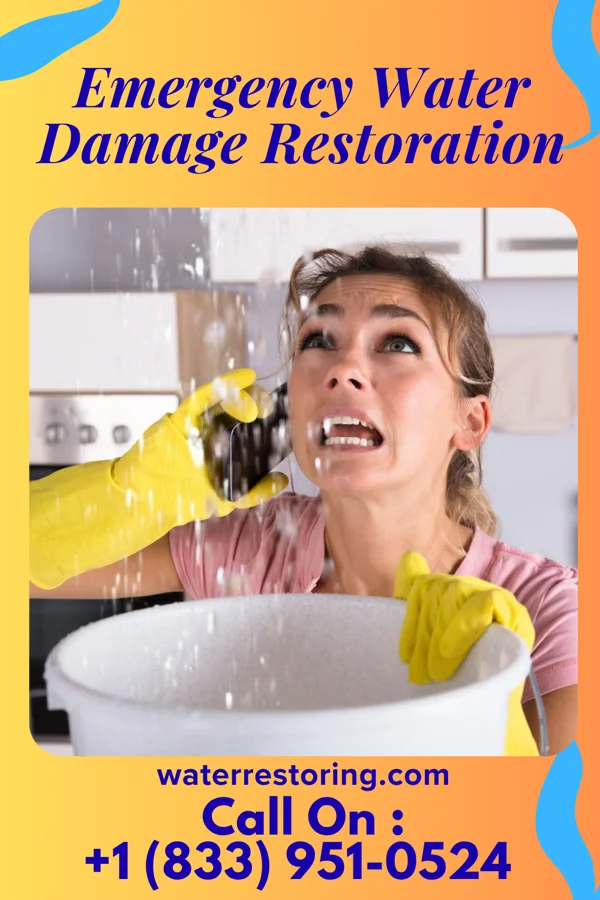 Emergency Water Damage Restoration in Landa, ND